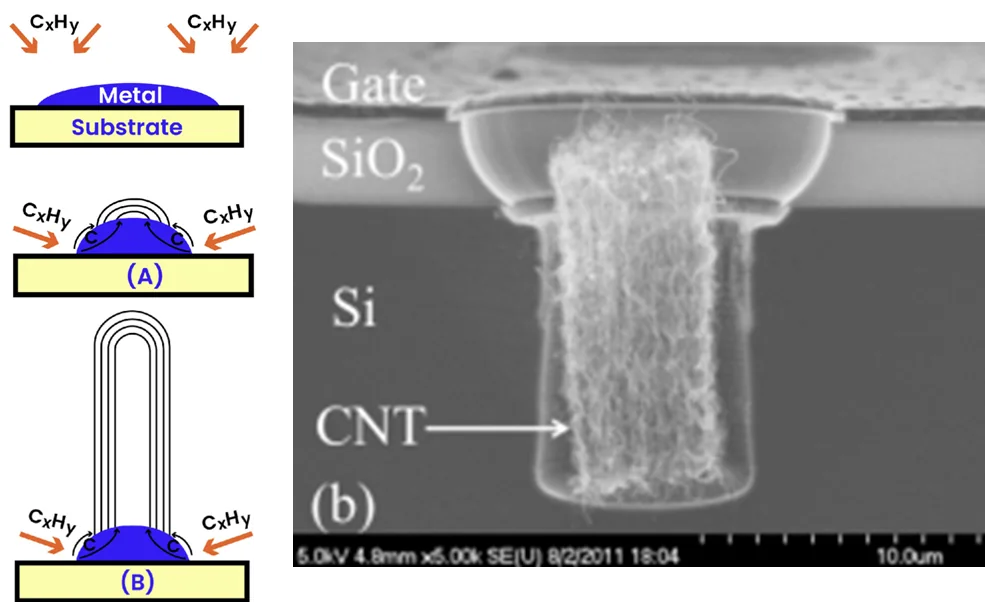CNT growth mechanism and SEM image of the cross-section formed by splits parallel to the silicon lattice orientation
