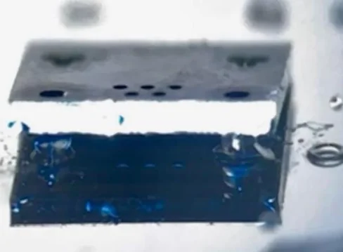 FISCT-T aligned on PSAS