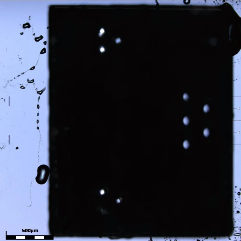 Confocal microscope topside image